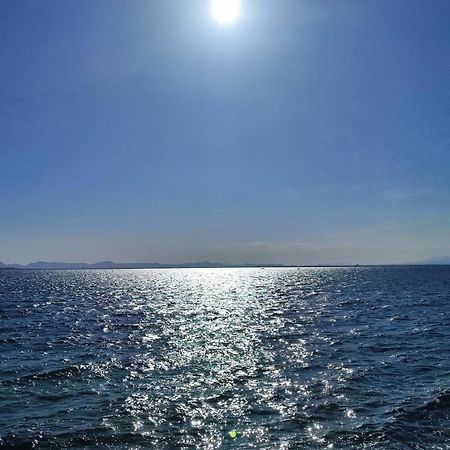 Apartamento Cerca De La Playa La Mata La Mata  Szoba fotó